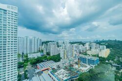 Skyline Residences (D4), Condominium #607297021